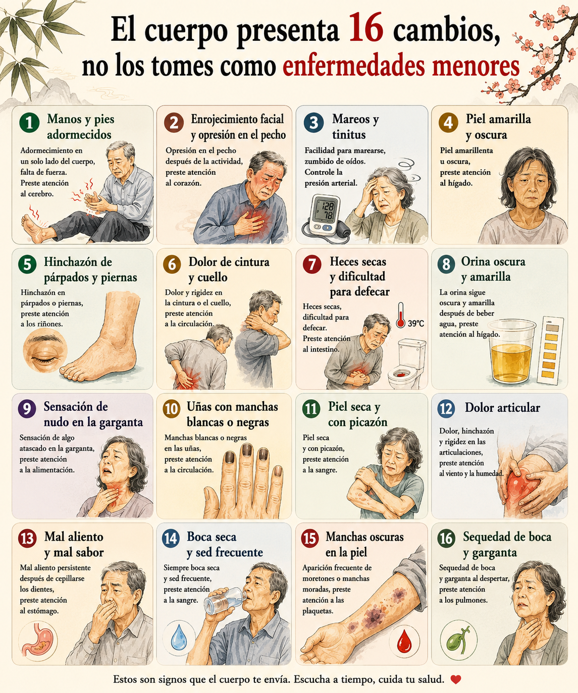 El cuerpo presenta 16 cambios no los tomes como enfermedades menores